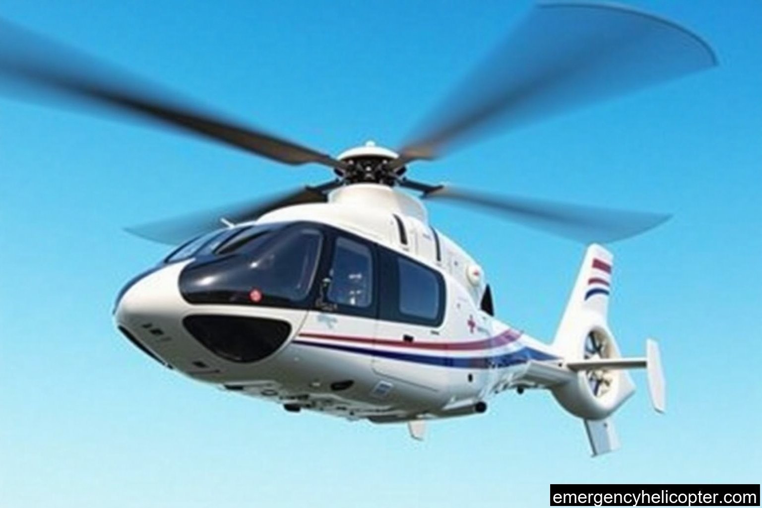 Essential Information and Booking Services